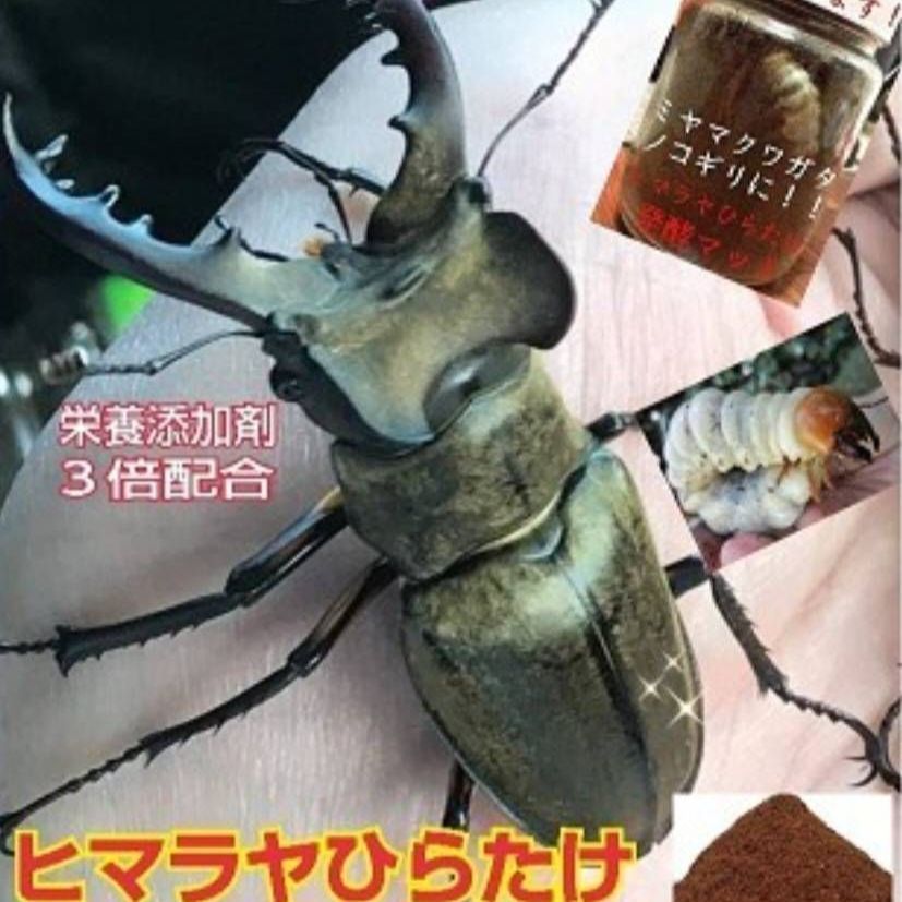 発酵マット