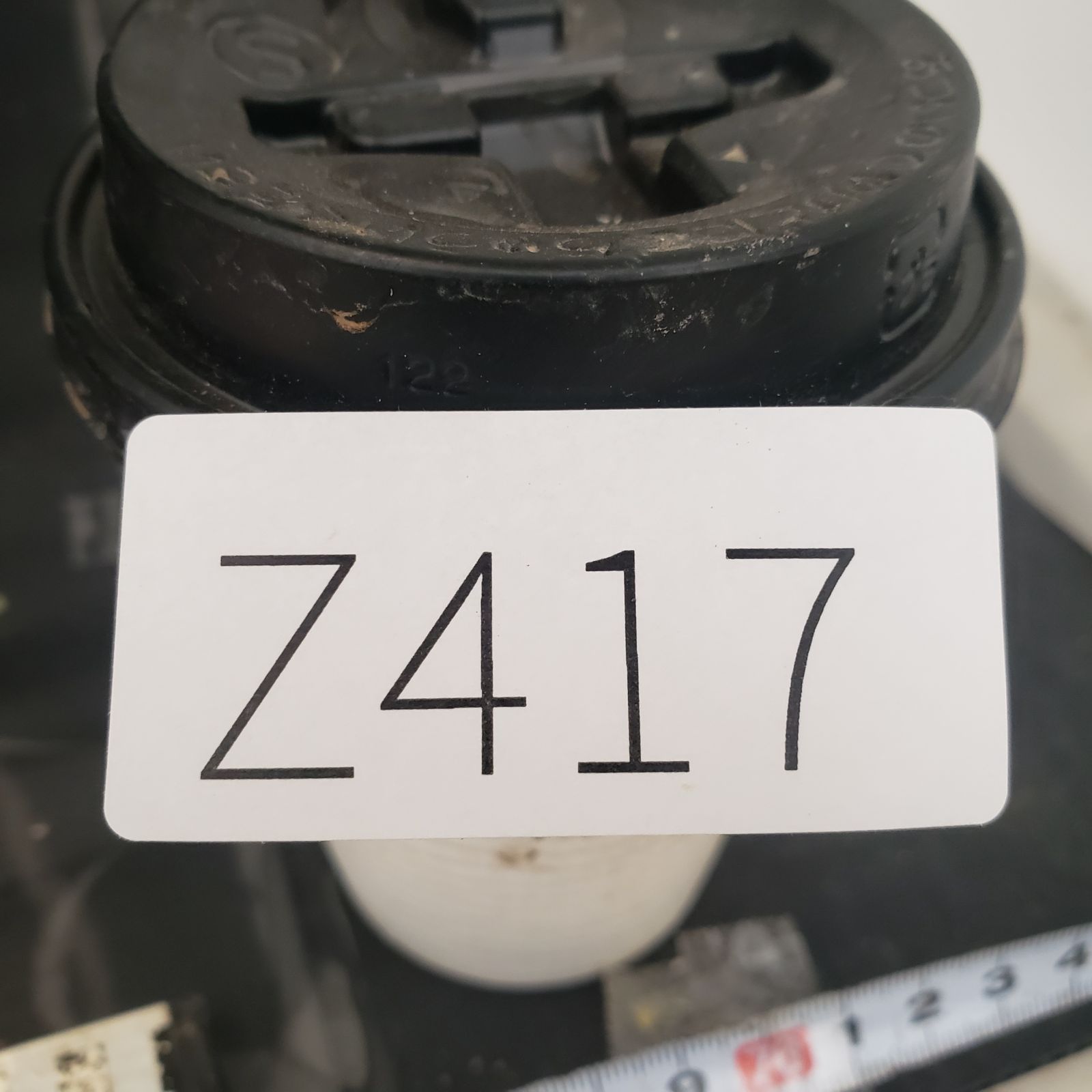 ワゴンセールも実施中。 Z417 最新到着 Boophane ハエマンソイデス ML 現地球 抜き苗 球根植物 ブーファン ハエマンソイデス 1000円以上送料無料。