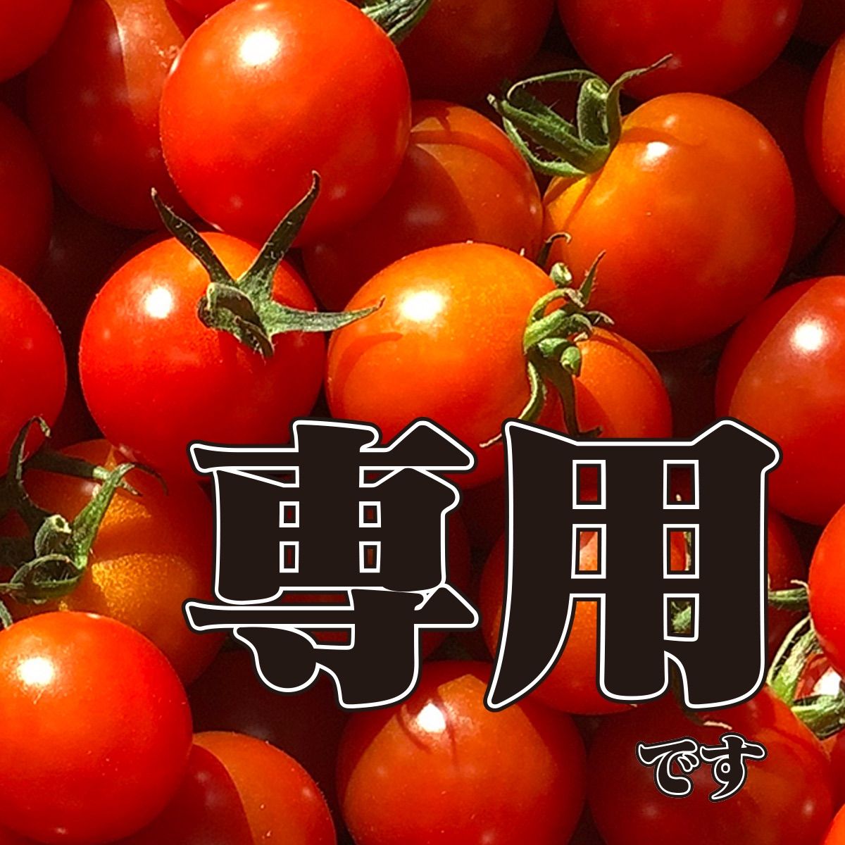 メンドクサガリ屋さま専用 ミニトマト12kg 【公式通販】
