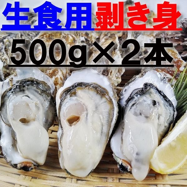 「生食用牡蠣剥き身 ２本で１kg」宮城県産 牡蛎むき身 松島牡蠣屋 カキ生食用牡蠣 牡蠣生食用 カキ 牡蛎 BBQ  kaki 松島牡蠣屋 漁師直送 かき バーベキュー海産物 海鮮 貝類
