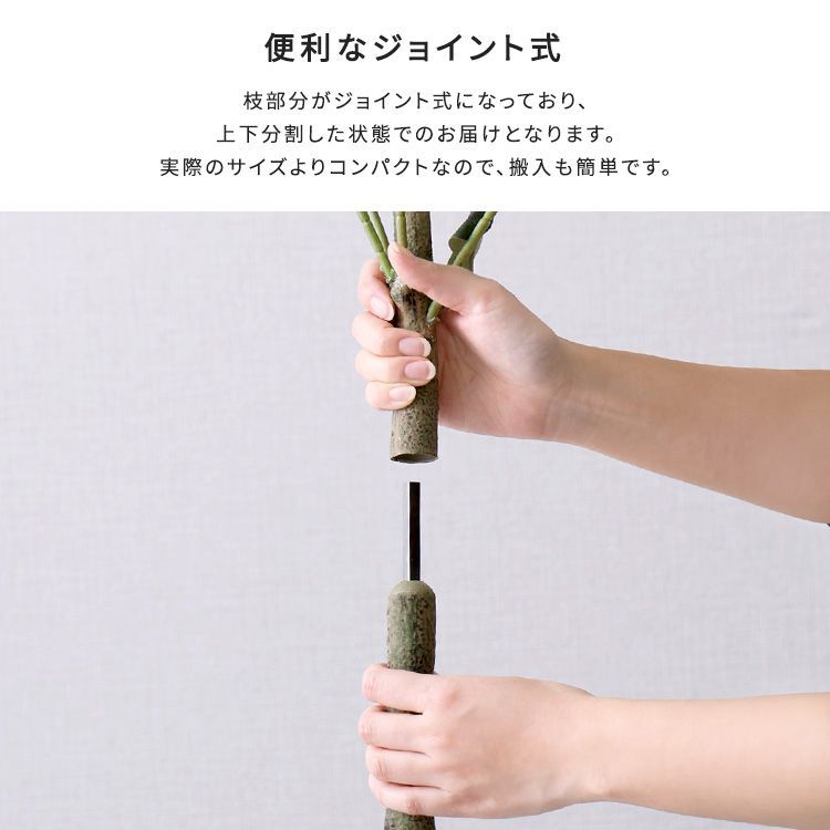 Lサイズ