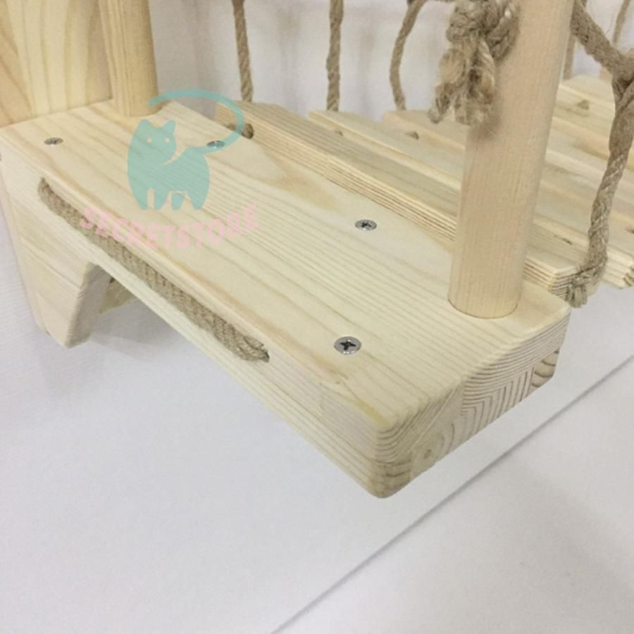 キャットウォーク