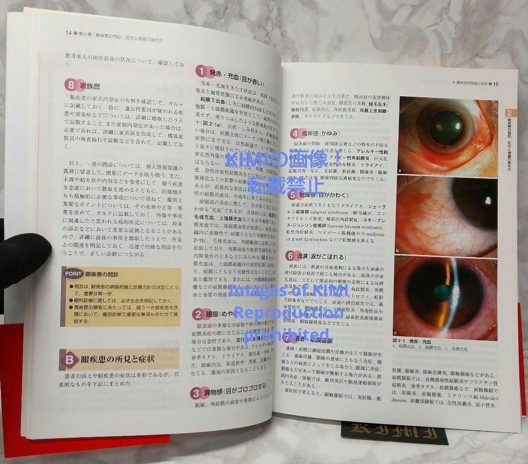 標準眼科学 第12版 単行本 2015 木下 茂 医学書院 木下 茂
