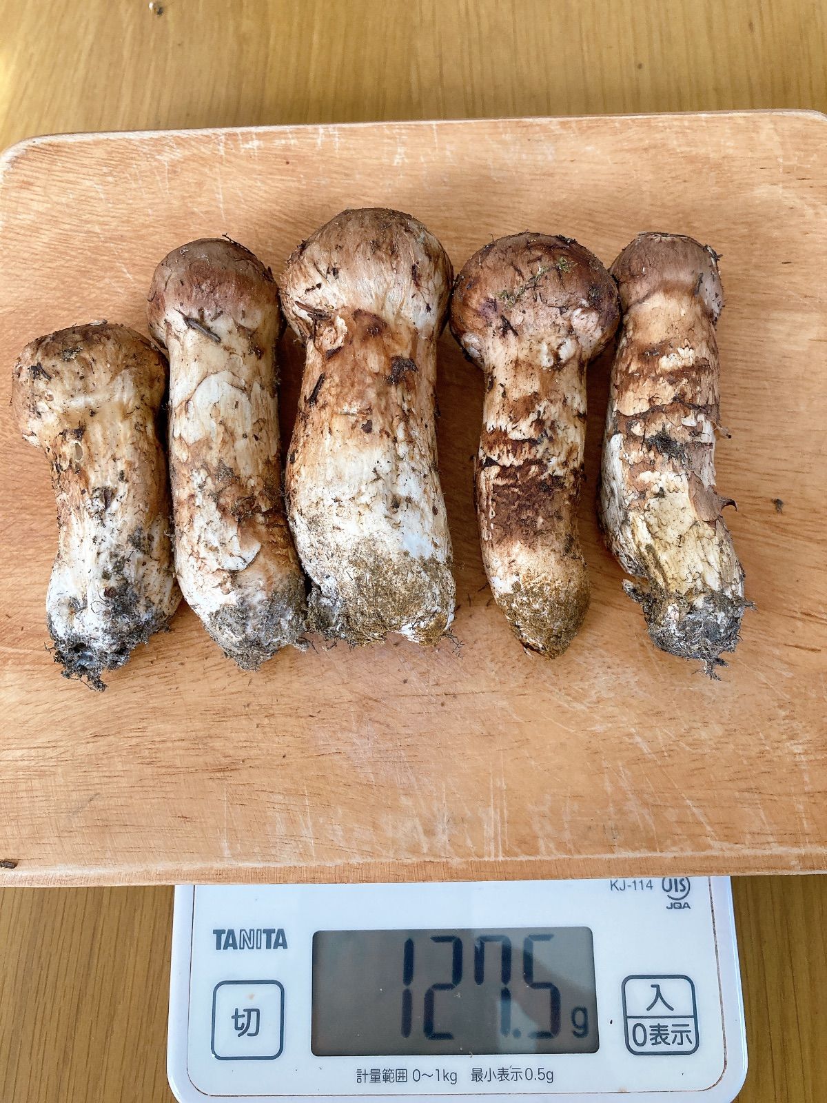 松茸 中国産 発泡スチロール込 約1kg。。マツタケ