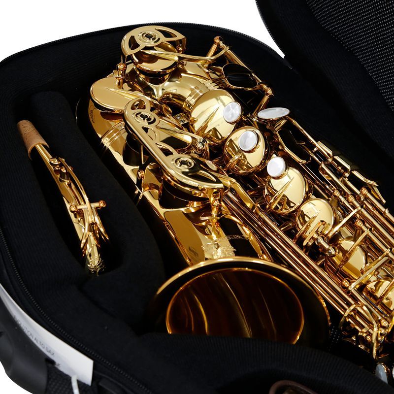 ALTOSAX CASE