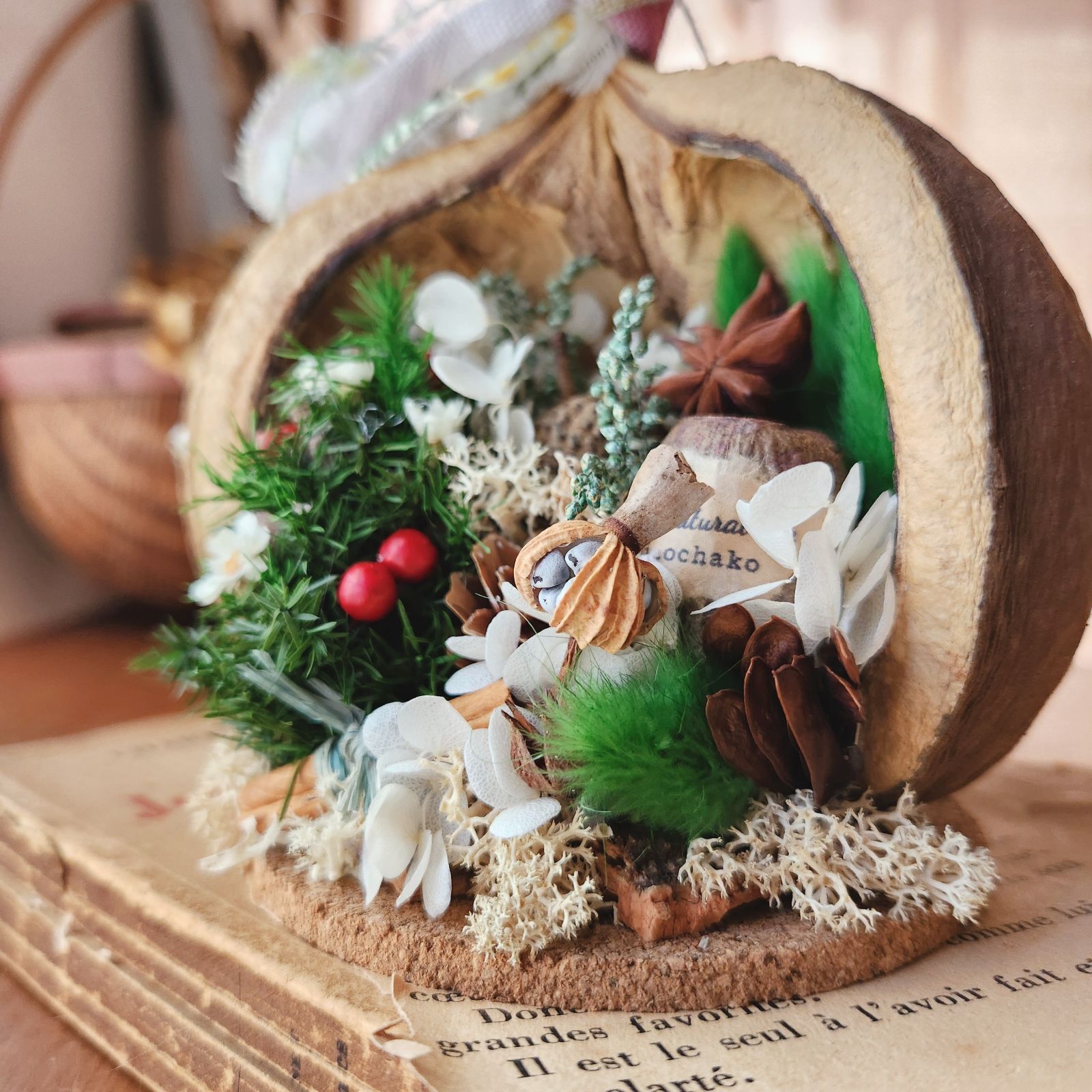🎄X'masブッダナッツアレンジ〗クリスマス Christmas 木の実 雑貨