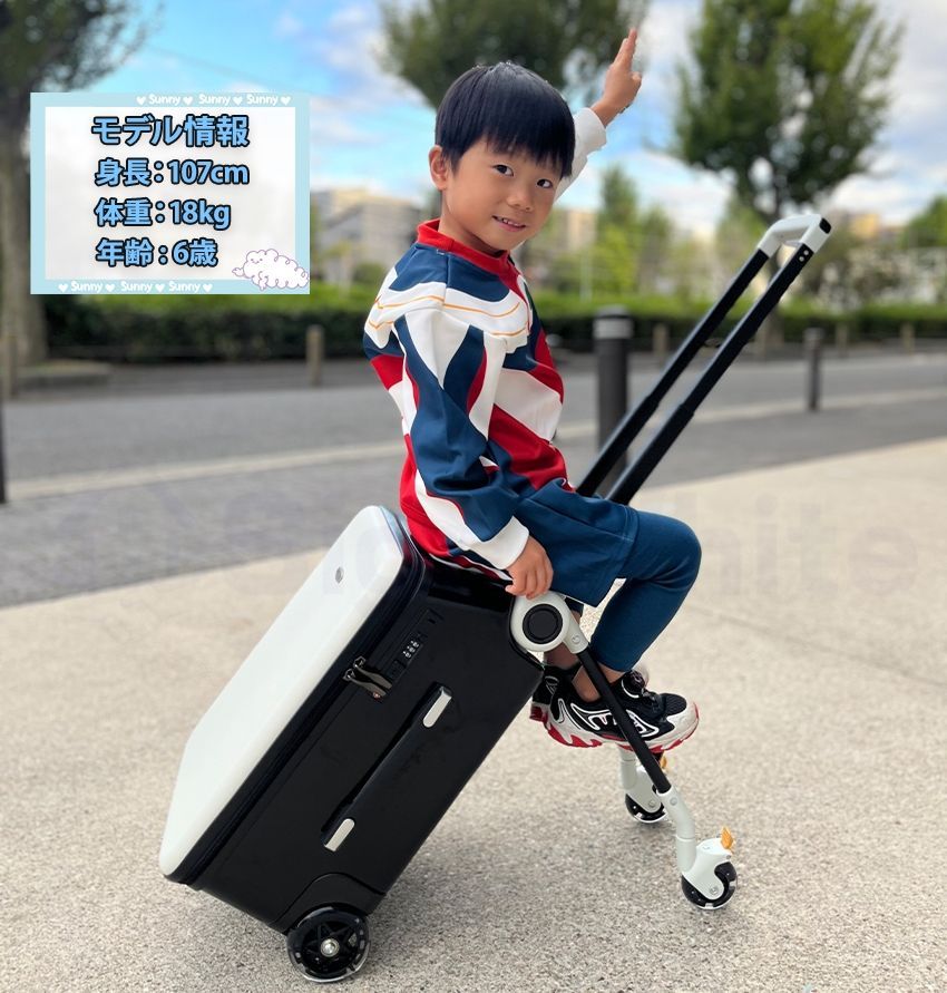 ルイヴィトン サングラス ウルスラストラス 極美品 ◇ルイヴィトン