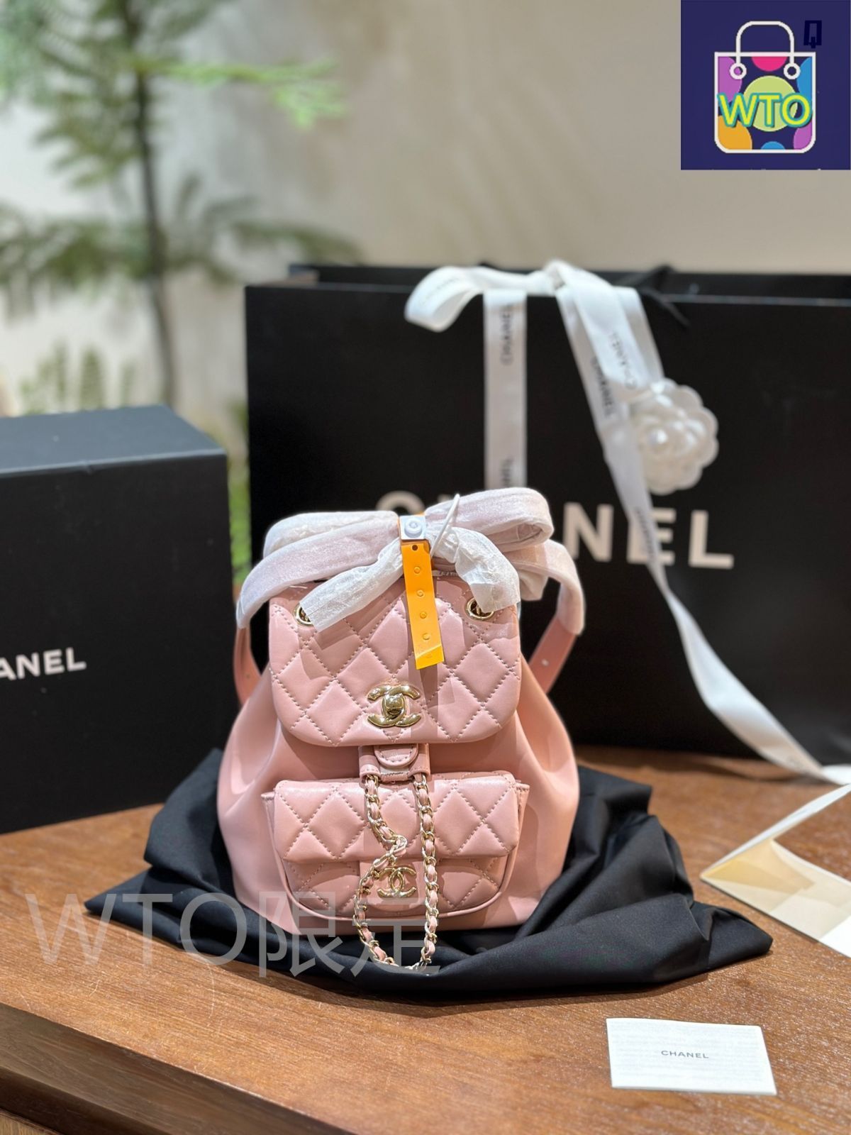 24K CHANEL シャネルバッグパック スモールリュック duma (CHANEL