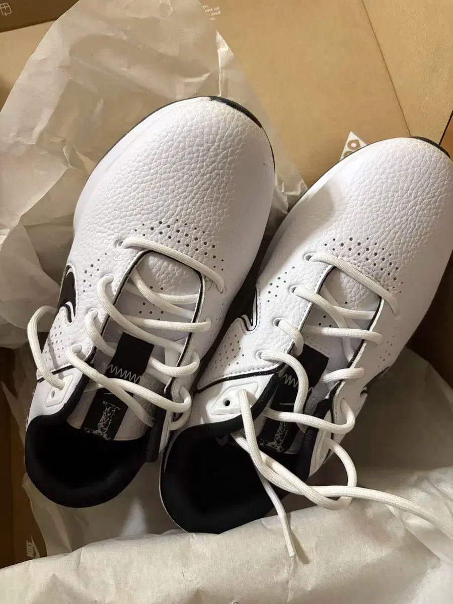 ナイキ ゴルフ ヴィクトリープロ3 レディース