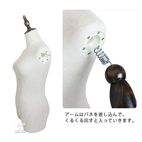 トルソー 女性用