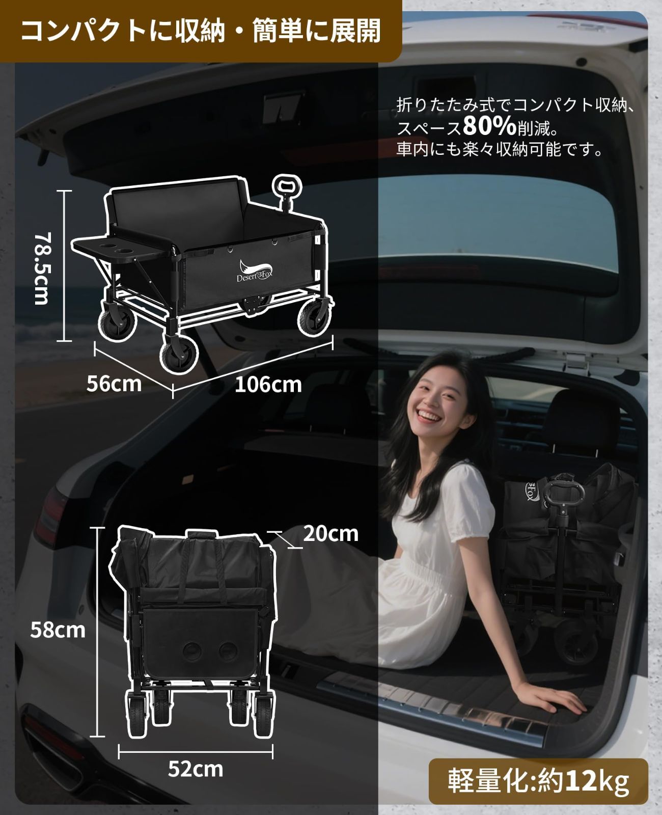 キャンプ キャリー