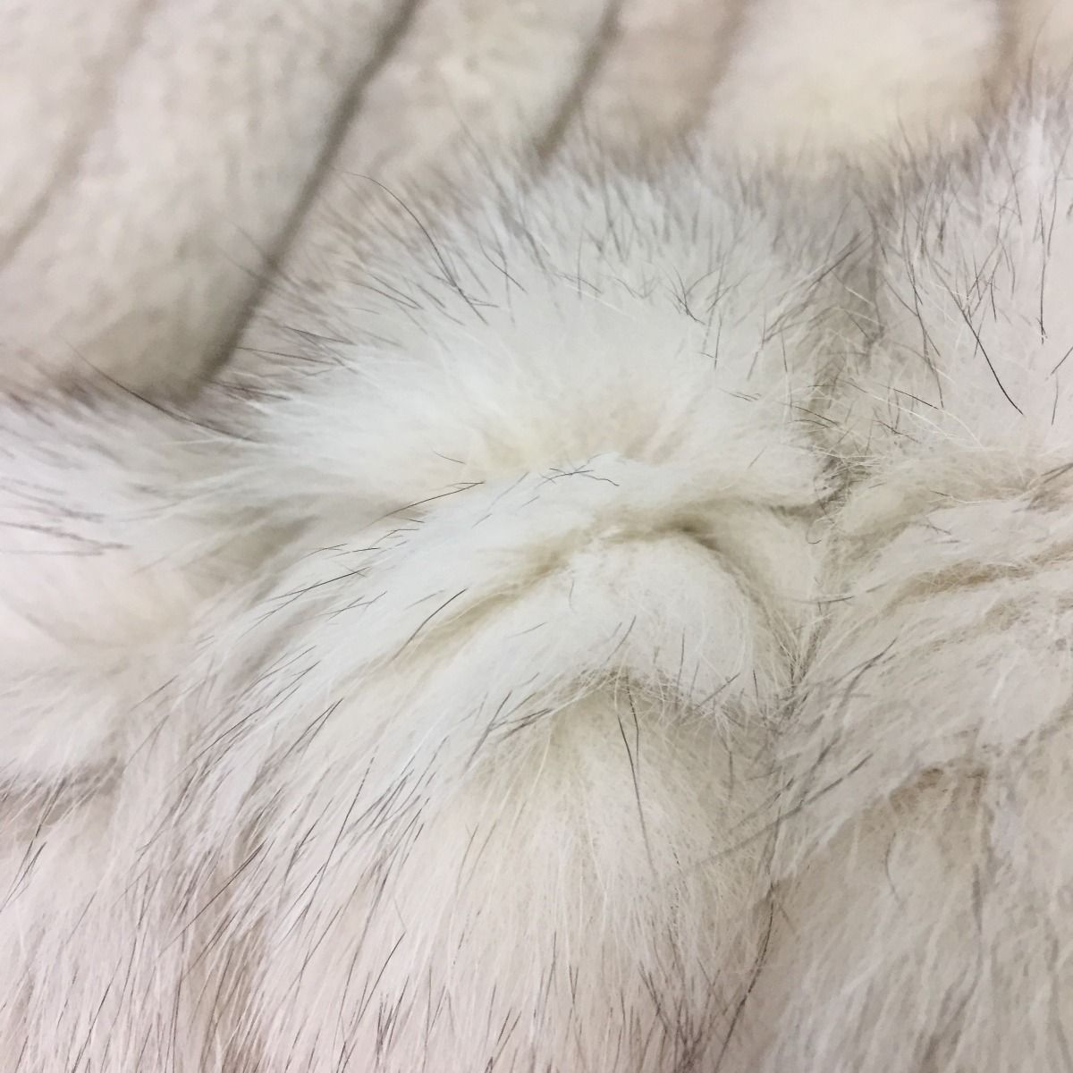 【中古】サガフォックス SAGA FOX ジョセフィーヌ Josephine ◎◎SAGA FOX サガフォックス josephine
