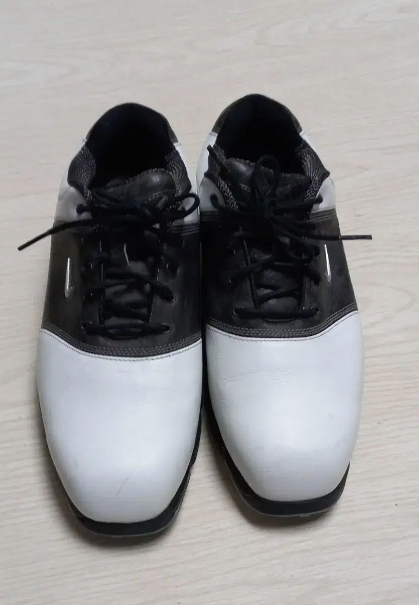 NIKE ナイキ メンズゴルフシューズ 265