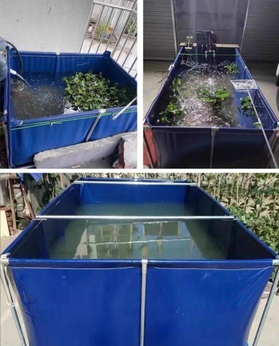  スタンド付き厚手の帆布プール養殖池 屋外用スイミングプール 防水シート製貯水槽 家庭用魚の飼育池 その他 魚用品 水草