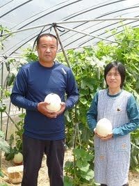 サンドリアメロン５玉入 サンドリアメロン5玉入