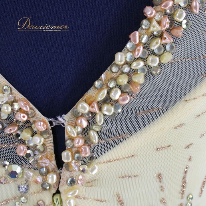 競技用ドレス コスチューム