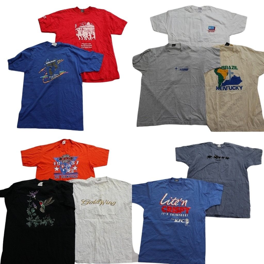 古着卸 まとめ売り ～90s　オールド 半袖Tシャツ 10枚セット (メンズ XL ) シングルステッチ アニマル 動物 鳥 英文字 中古 古着 MY7880