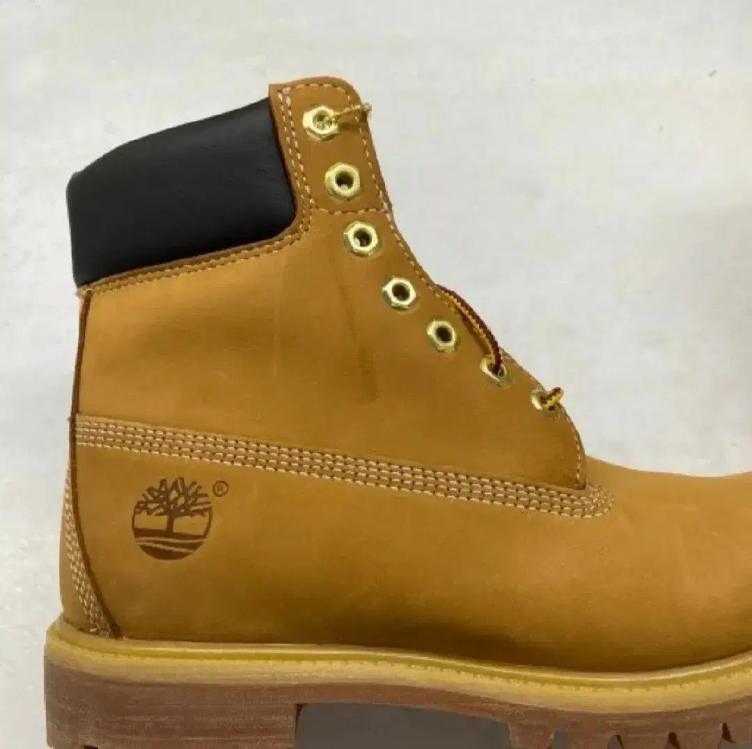 ティンバーランド 6インチ ウォータープルーフ ブーツ ウィット ヌバックレザー ワイド