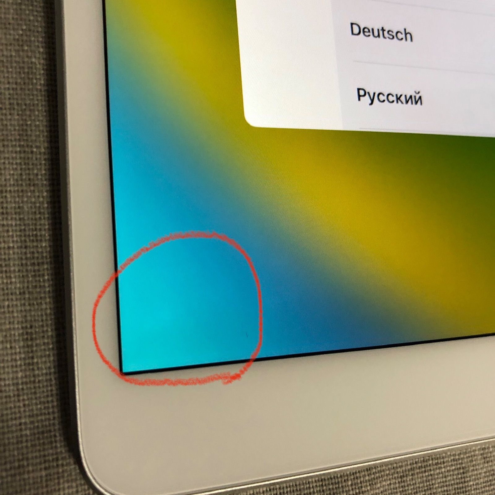 訳アリ特価】iPad Pro 10.5インチ 64GB【ホワイトスポット有