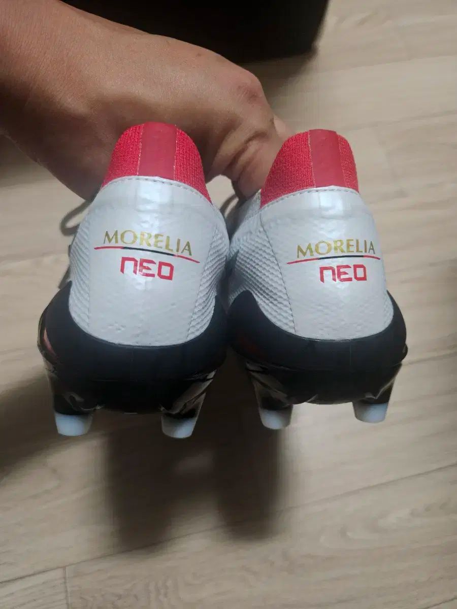 モレリア NEO₄ ベータ ジャパン AG 270 モレリアネオ SALA β JAPAN TF