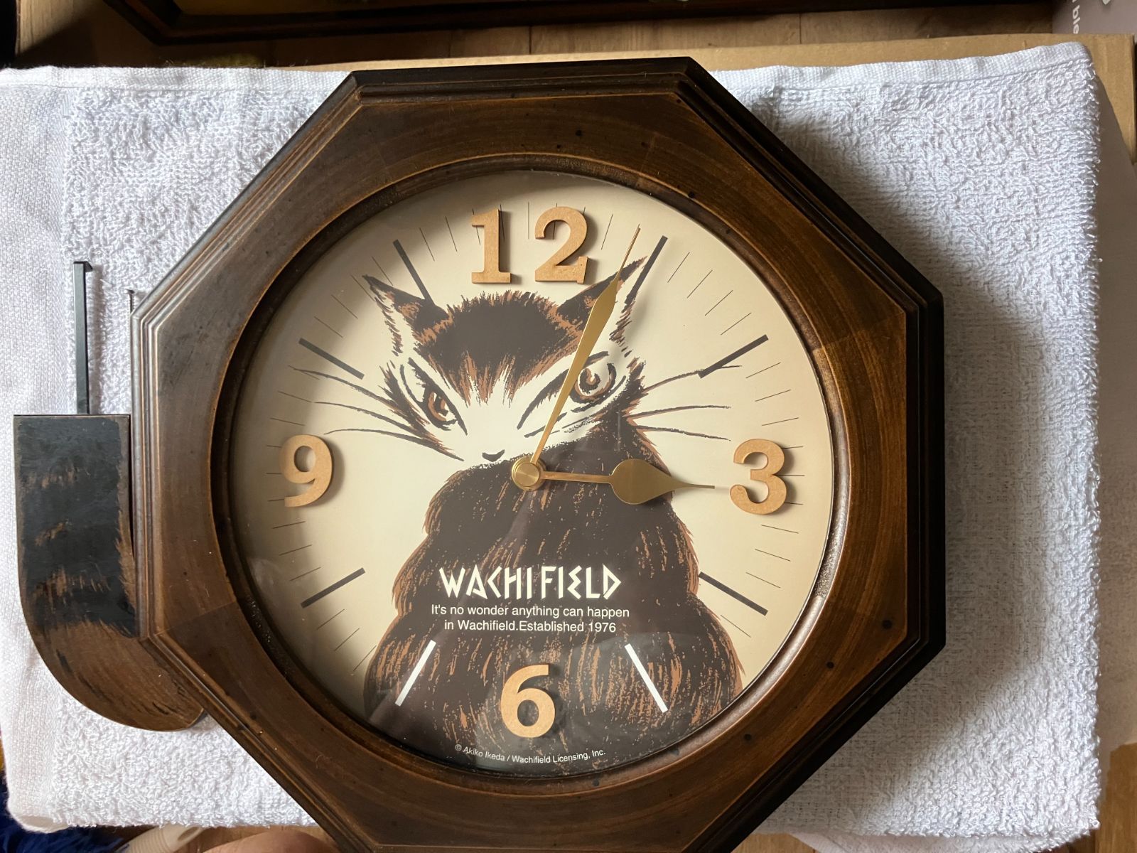 wachifield ダヤンのテイル振り子時計 - メルカリ