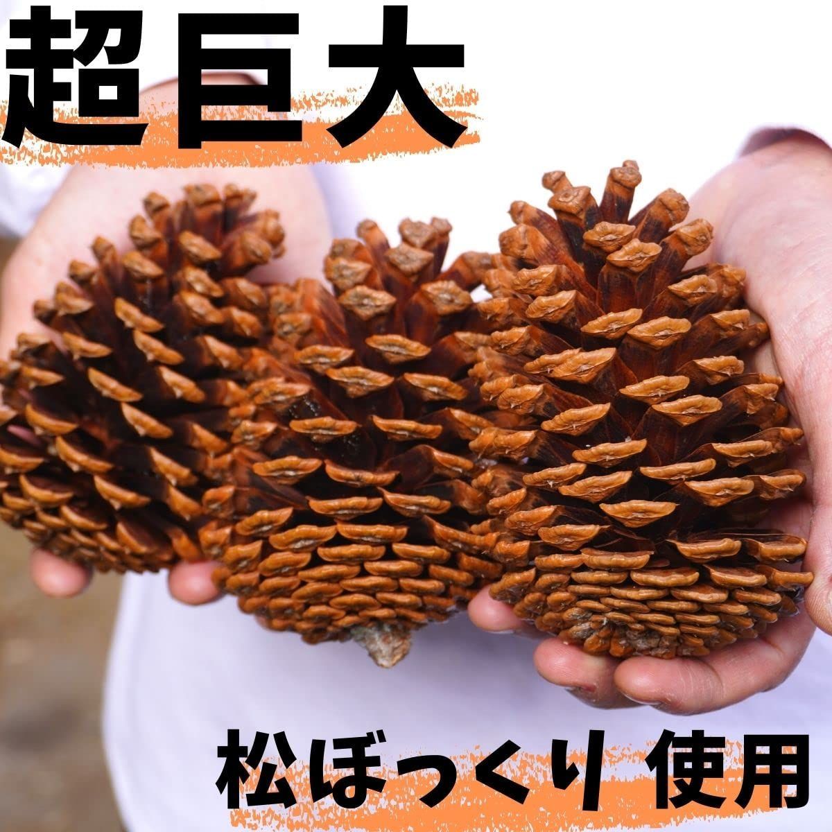 北海道産 天然 巨大 松ぼっくり(松笠) 20個 松の実 - 小動物用品