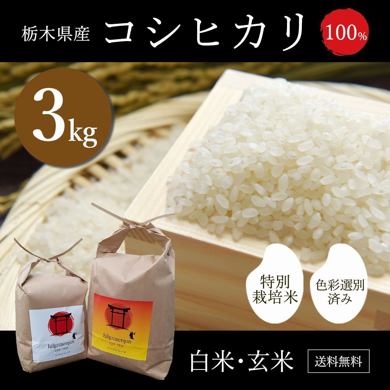 秋川リサ 素顔のままで ビデオ