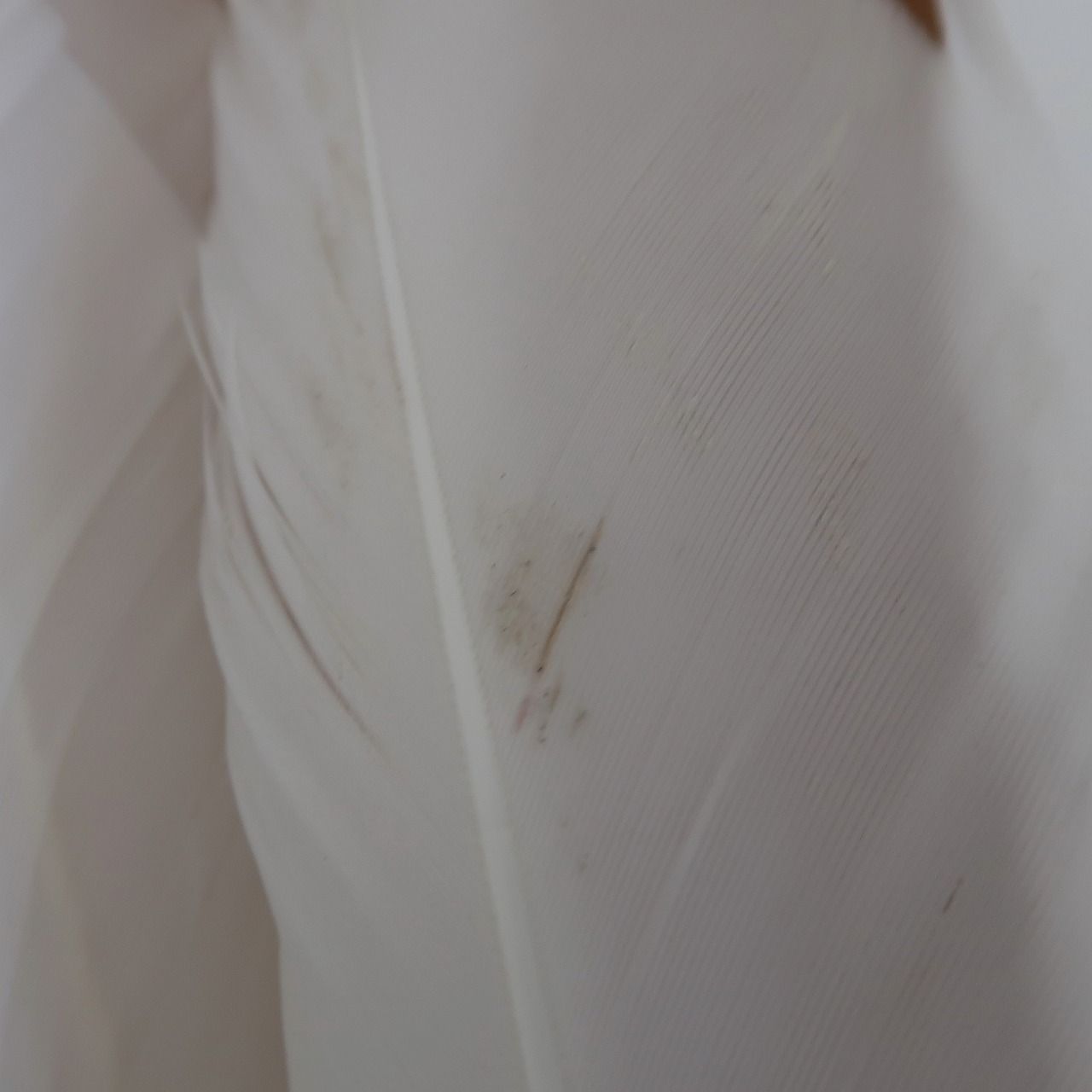 ハロウィン コスプレ被り物