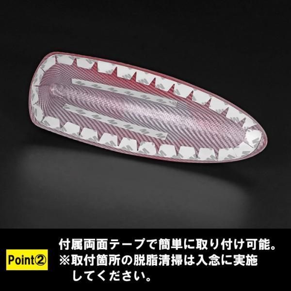アンテナ カバー