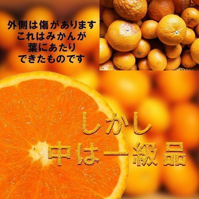 3kg