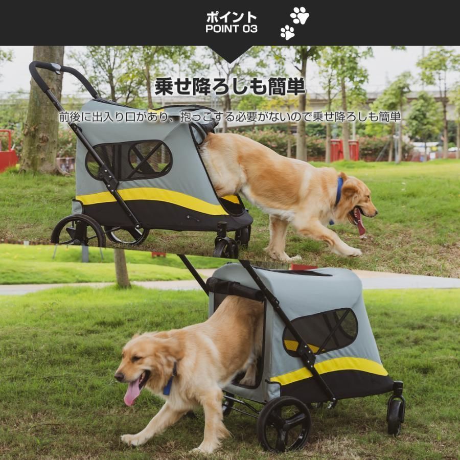 小型犬