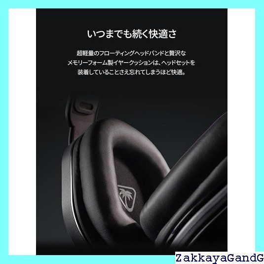 TURTLE BEACH