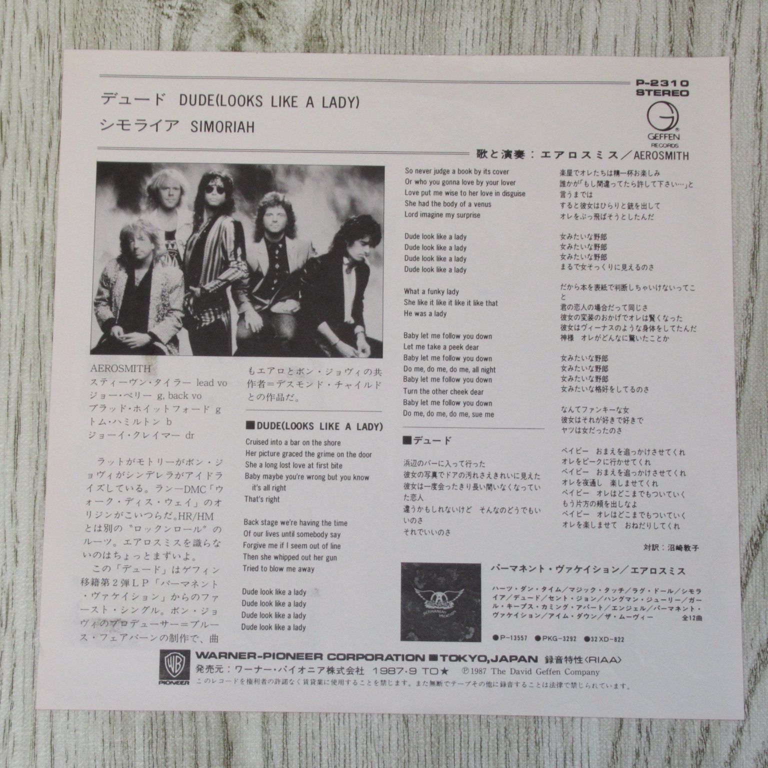 シングルレコード エアロスミス デュード P-2310 サンプル（見本