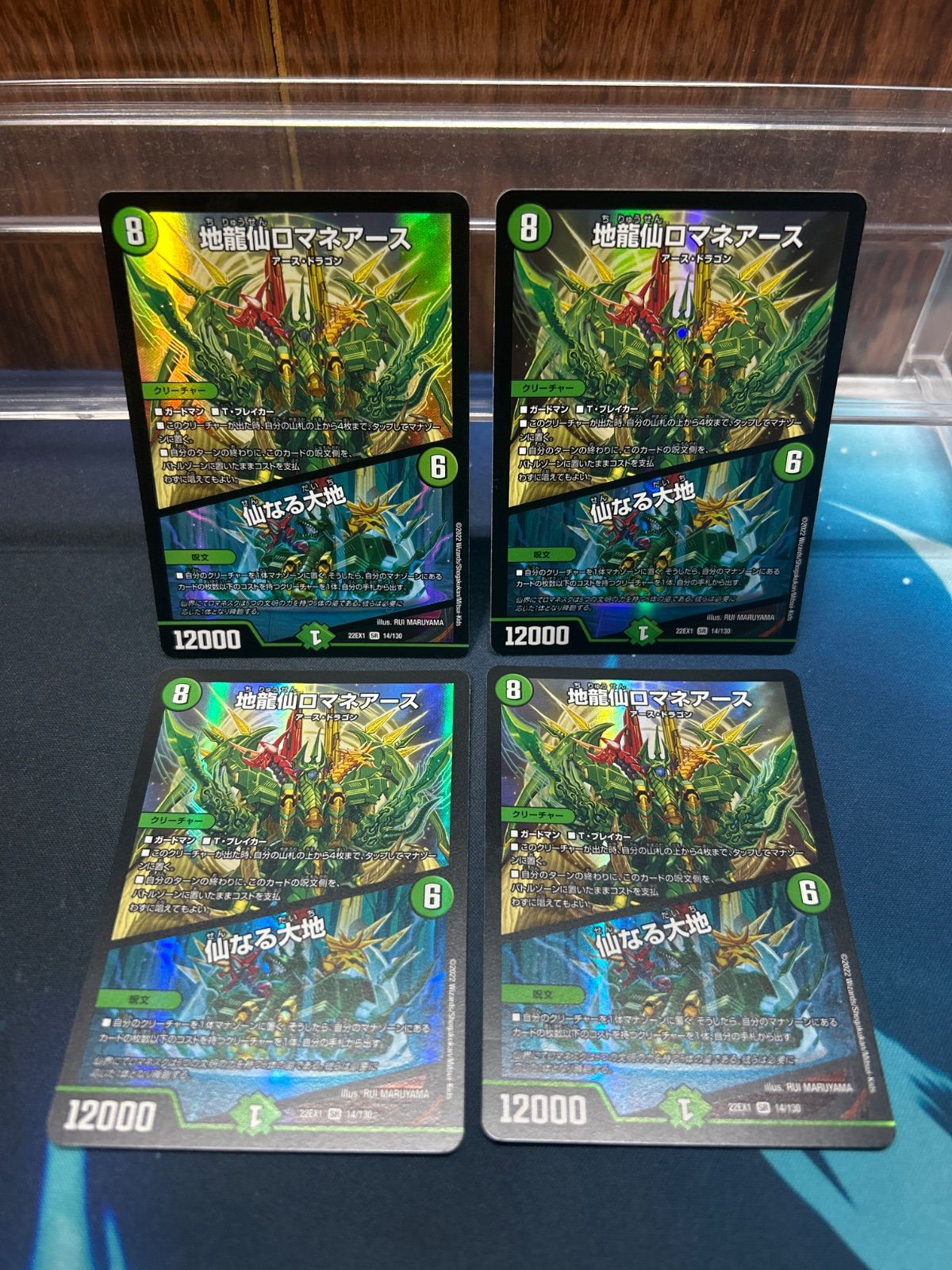 地龍仙ロマネアース/仙なる大地 - メルカリ