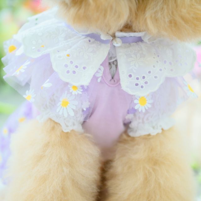犬服 CanNana 【きゃんナナ】フラワーギンガムワンピース ラベンダー