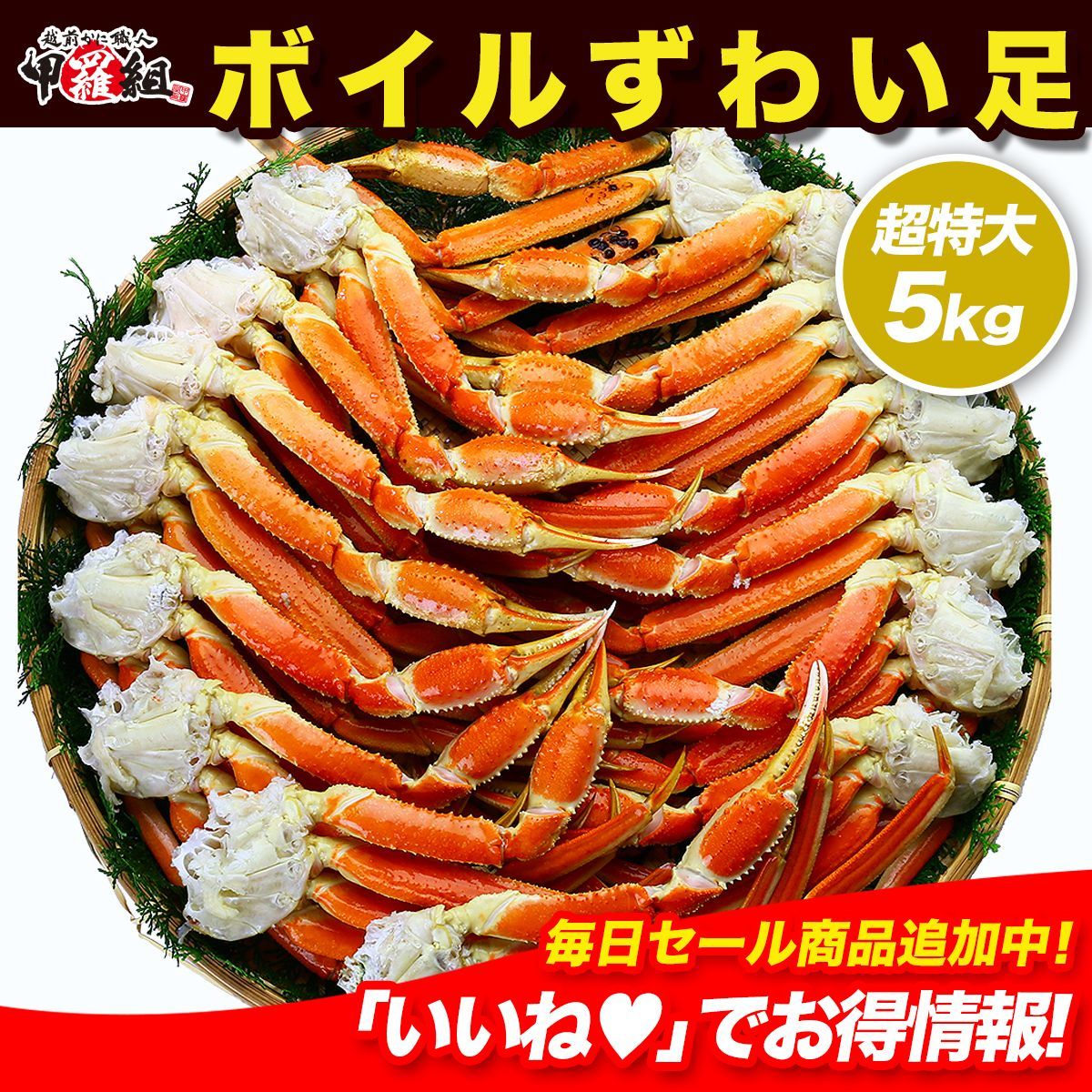 業務用|産地箱 超特大 ボイルずわいがに足 5kg 4Lサイズ|約14肩入り ズワイガニ かに カニ 蟹 カニ足 カニしゃぶ 焼きガニ 鍋 大容量 甲羅組