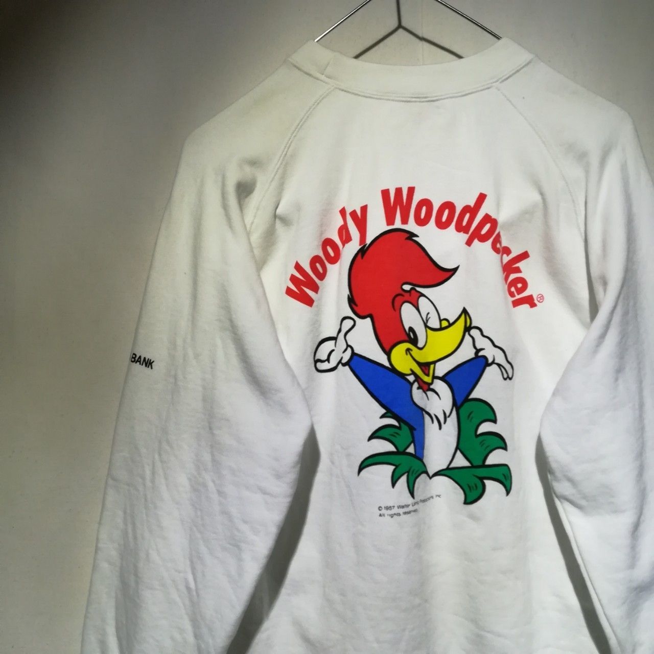 9/1値段見直し】【WN230620-009】DAIKYO Woody Woodpecker ウッディー