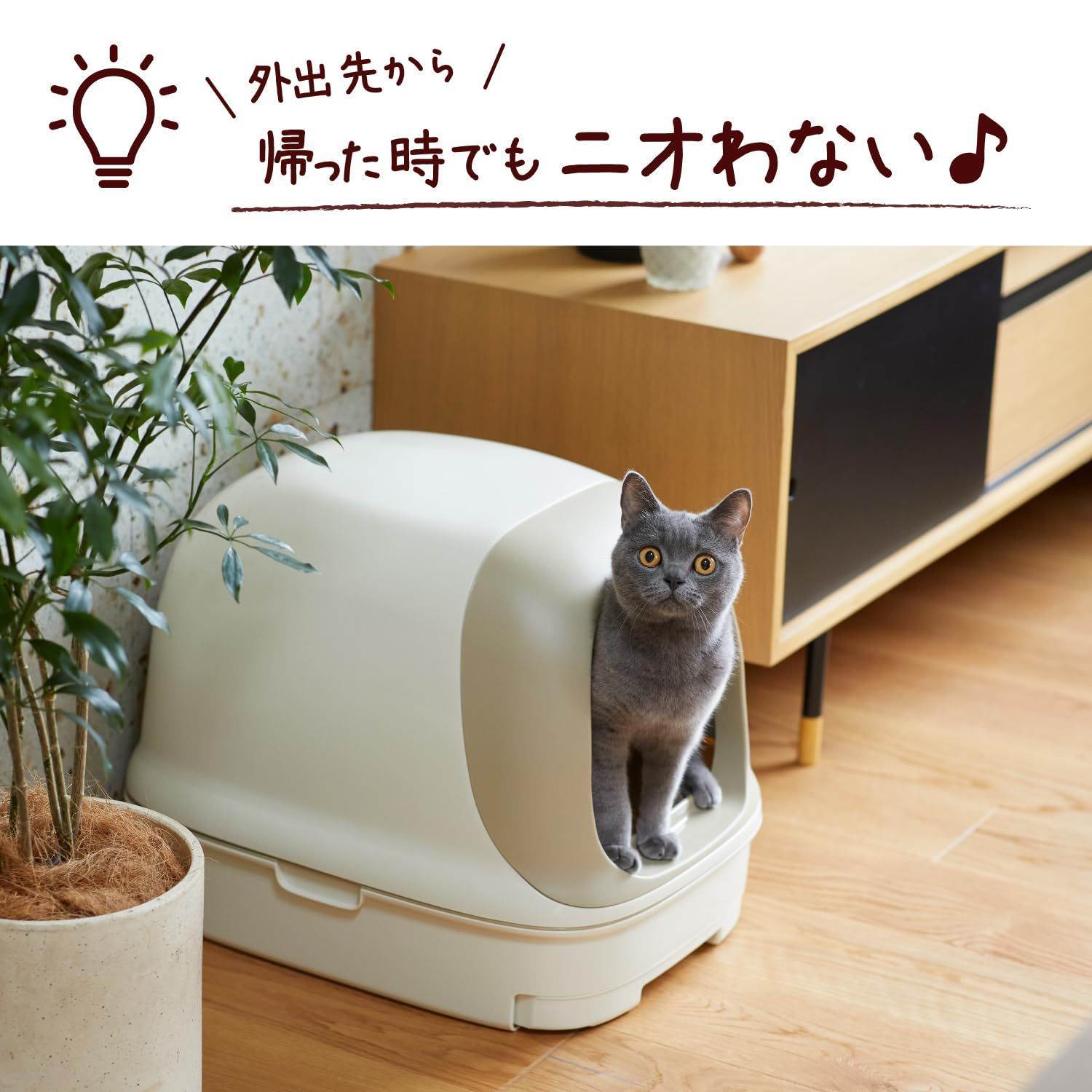 ニャンとも清潔トイレ チップ 超快デオプレミアム 大きめの粒