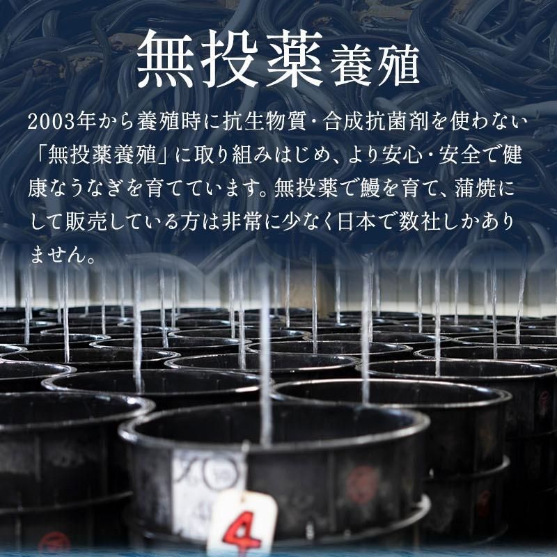 約200g 2尾