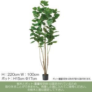 3営業日で発送 ウンベラータ ポット付 造花観葉樹 A-51029051A