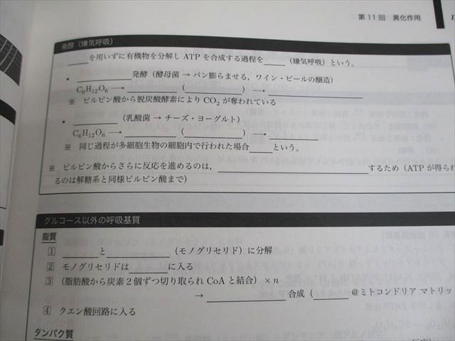 鉄緑会 高3生物 入試生物確認シリーズ テキスト 2022 013s0D 鉄緑会 高3生物 入試生物確認シリーズ テキスト 2022 013s0D