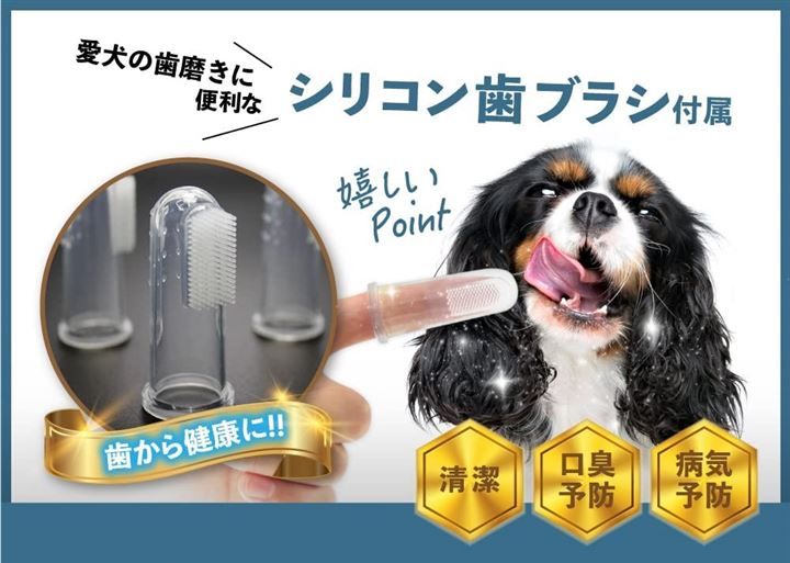 gracibo 早食い防止 食器 犬 獣医師監修 フードボウル ペット 健康管理 中型犬 大型犬 向き 指歯ブラシ付( パープル)