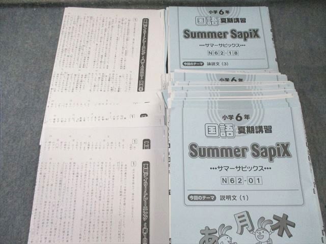 SAPIX 小6 サピックス デイリー/サマー/トレーニング 国語 通年セット 【計99回分】 2024 ★ 300L2D SAPIX 小6 サピックス デイリー/サマー/トレーニング 国語 通年