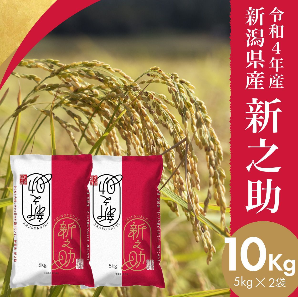 新潟県産 新之助 白米 10kg (5kg×2袋) しんのすけ お米 白米