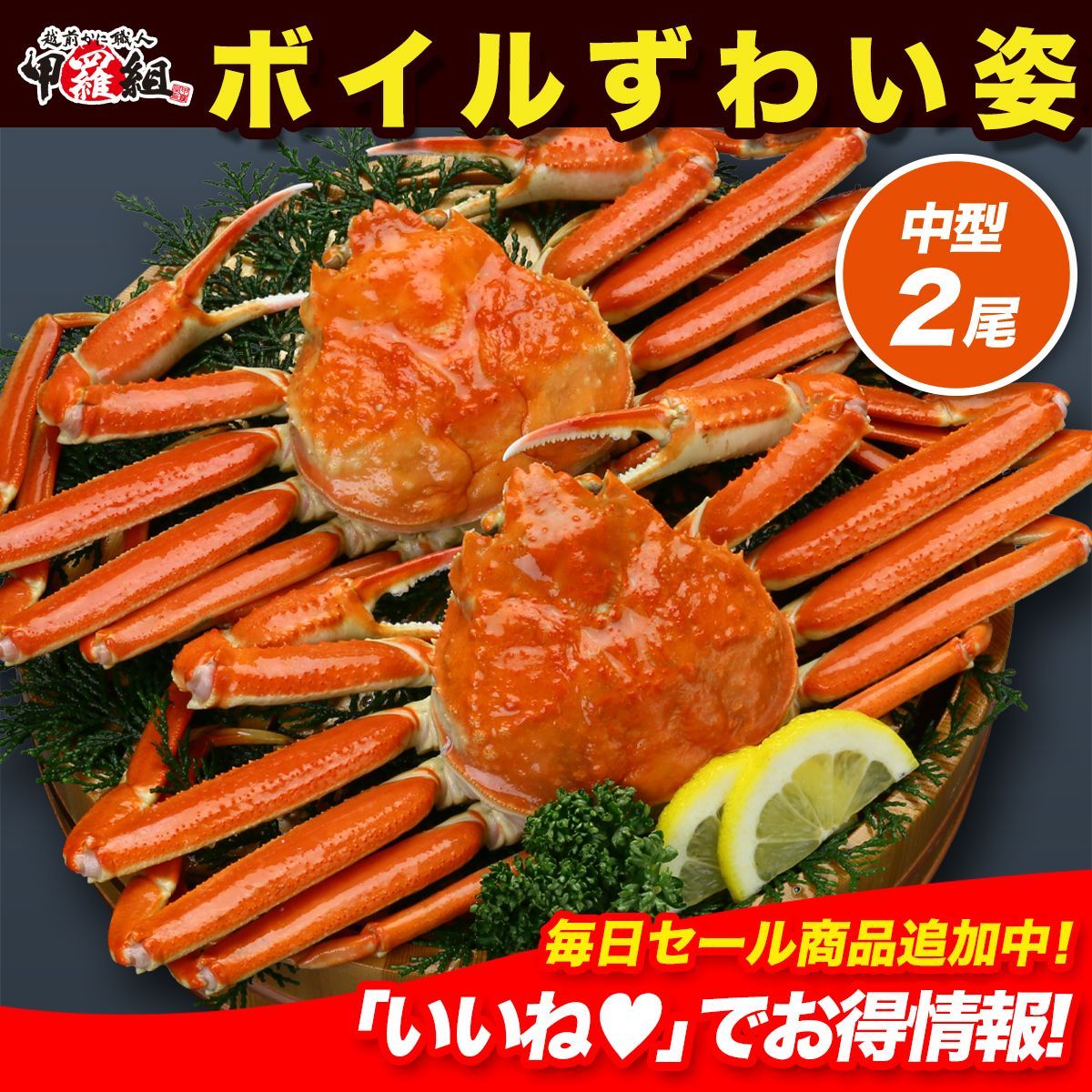 ギフト ? 良型中型サイズを厳選 ?ボイルずわいがに姿1kg 500g前後×2ハイ 食べ方の説明書同封 贈答 カニ かに 蟹 甲羅組