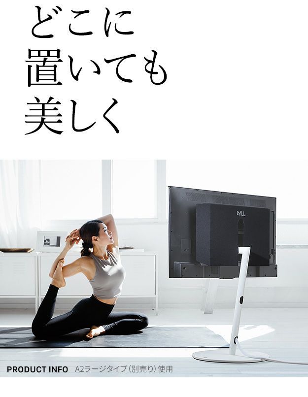 anataIROラージタイプ対応 背面カバー