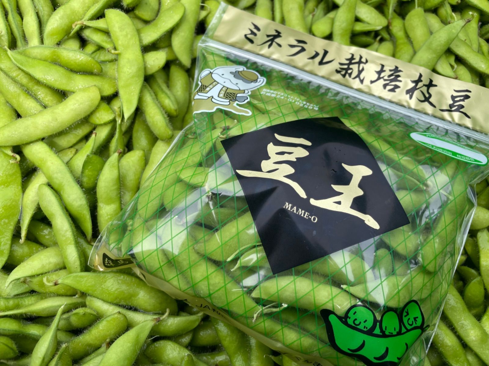 10/10最終 枝豆 【豆王】 300g 群馬県産 ネコポスページ 産地直送 - メルカリ