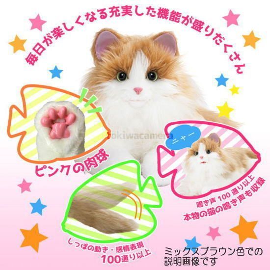 メルカリ特典 自由にメッセージ付けられます
