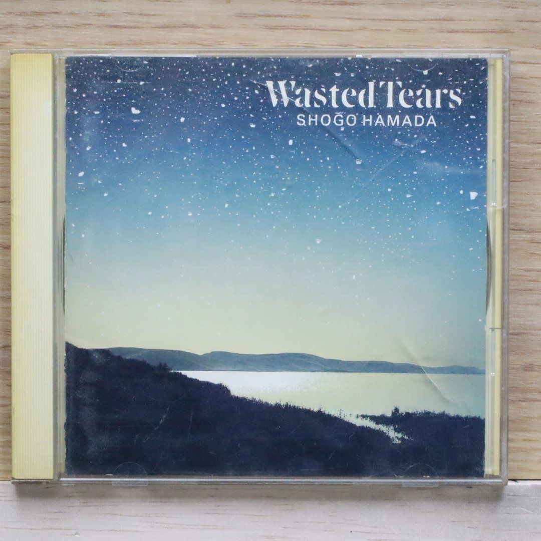 国内盤CD☆浜田 省吾/Shogo Hamada□ WASTED TEARS 【32DH5269