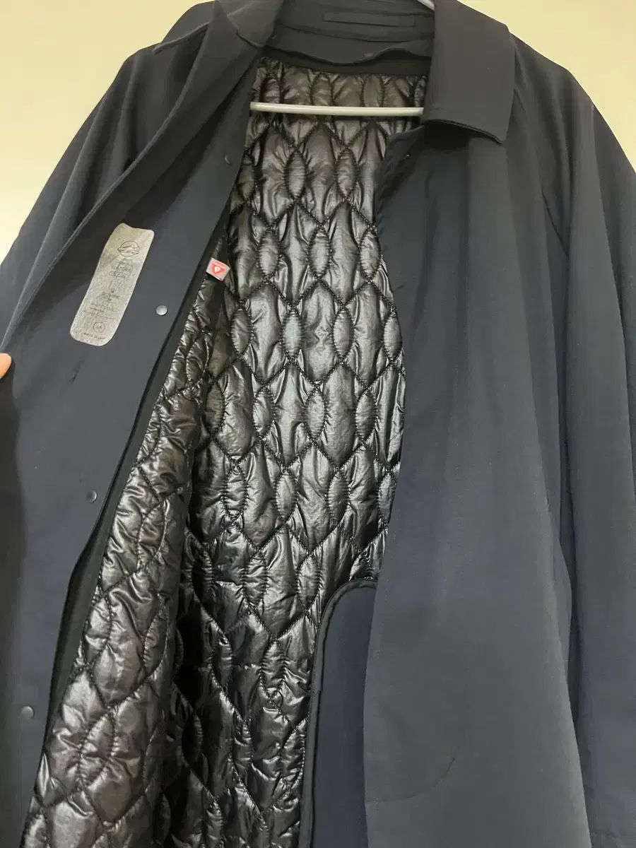 真作】絵画 寺崎広業 日本画 石に鶺鴒図 墨一色の花鳥画 箱・黄袋入